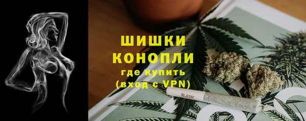 индика Магадан