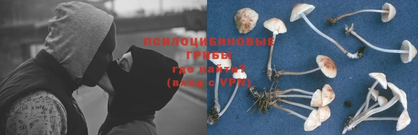 дживик Нижний Тагил