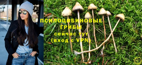 дживик Нижний Тагил
