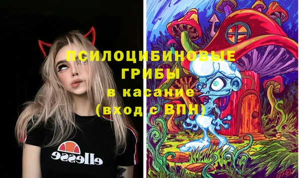 индика Магадан